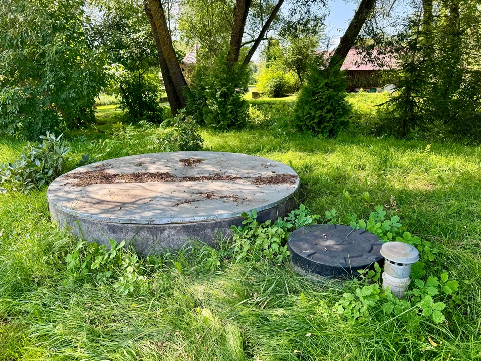 Jardin paysager avec massif floral central en forme géométrique sur pelouse verte